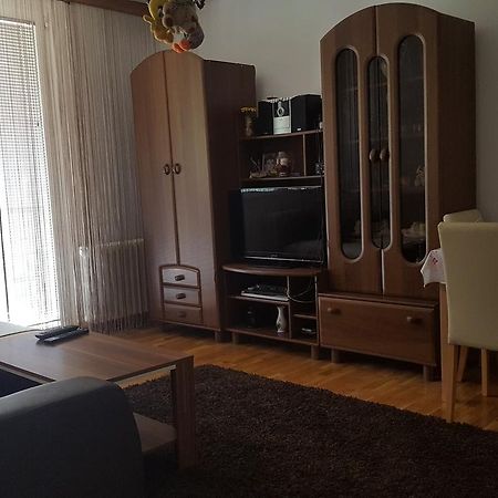Apartment 泽尼察 外观 照片